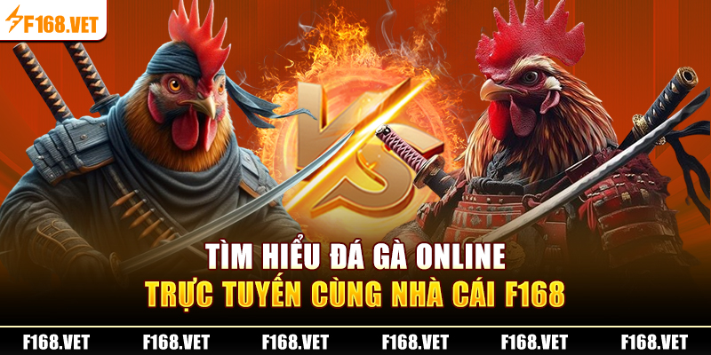 Tìm hiểu đss gà online trực tuyến
