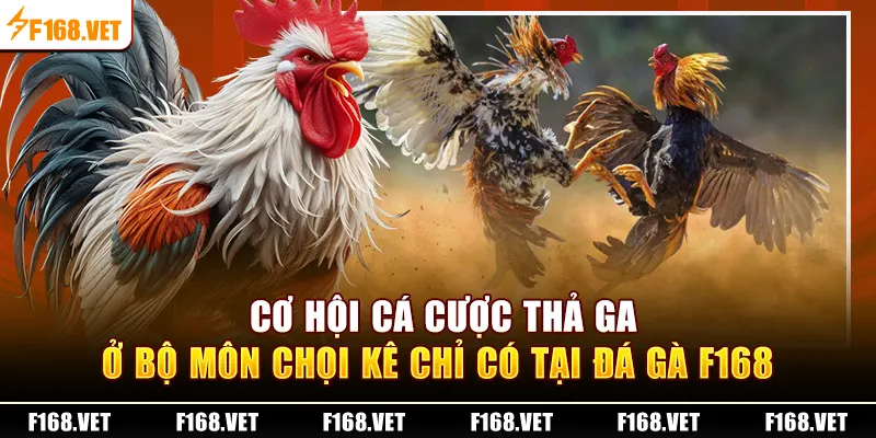 Cơ hội cá cược thả ga ở bộ môn chọi kê chỉ có tại Đá Gà F168