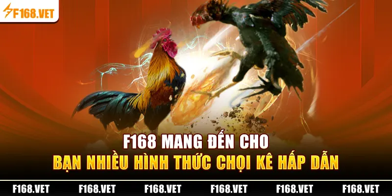 F168 mang đến cho bạn nhiều hình thức chọi kê hấp dẫn 